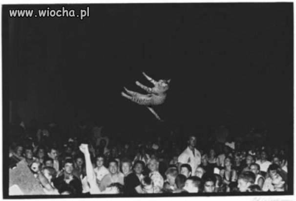Na koncercie