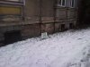 Czyli ludzie i inne zwierzęta mogą?
