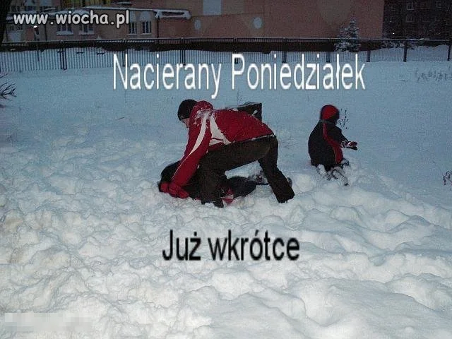 Świeta święta