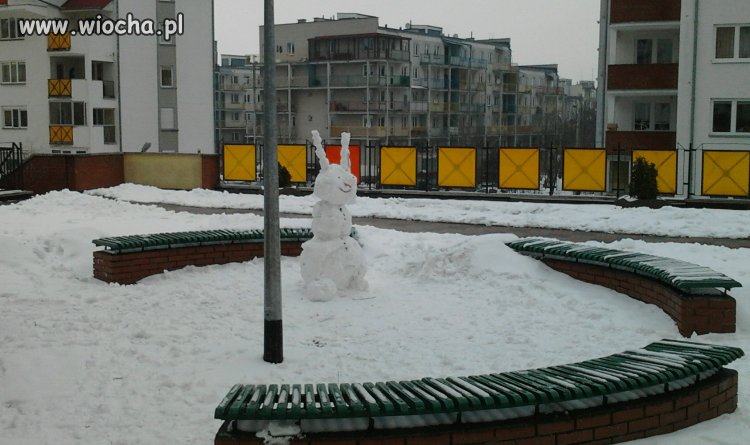 Jak nie ma nic, to się lubi co się ma.