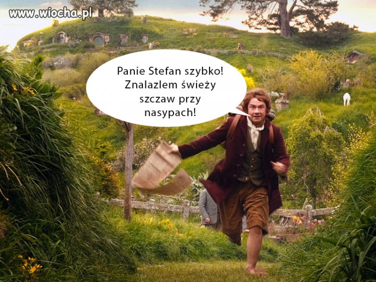 Szczaw rośnie także w Shire...