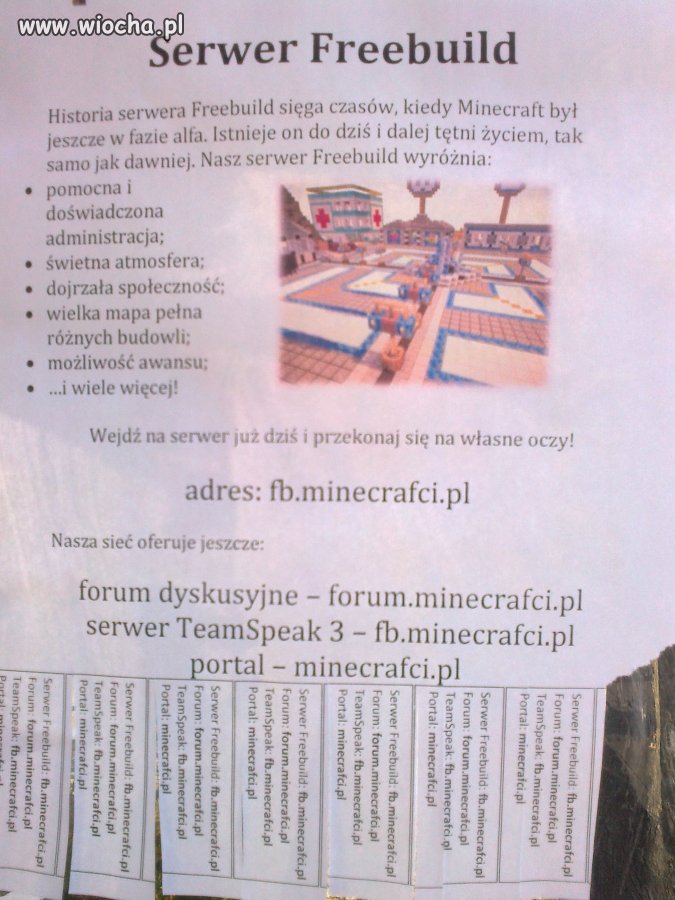 Tak się właśnie zarabia na kretynach