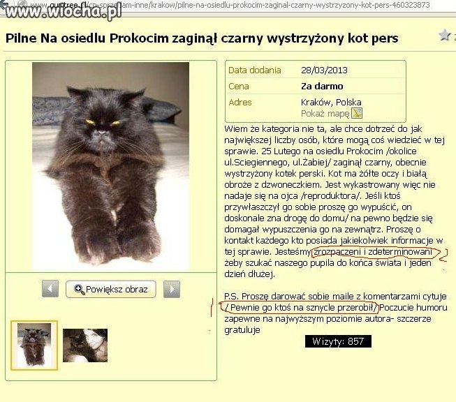 Przerobili go na sznycle 