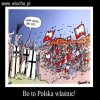 CZYŻ