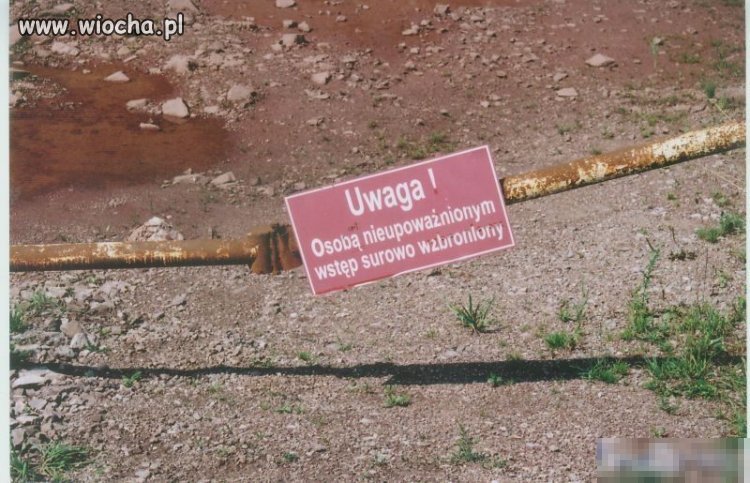 Ojczyzna polszczyzna