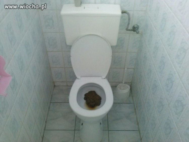 Wielka kupa smrodu