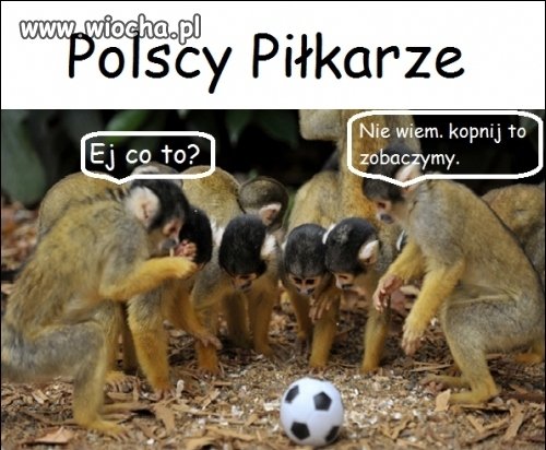 Za co oni dostają tyle kasy??!!