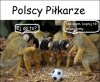 Za co oni dostają tyle kasy??!!