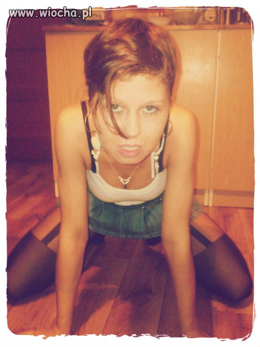 Sexi kociak