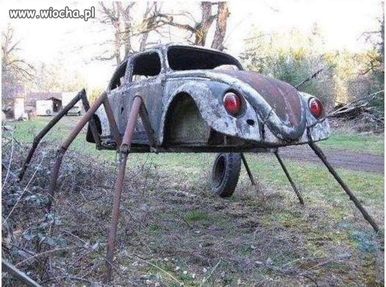 Arachnofobia