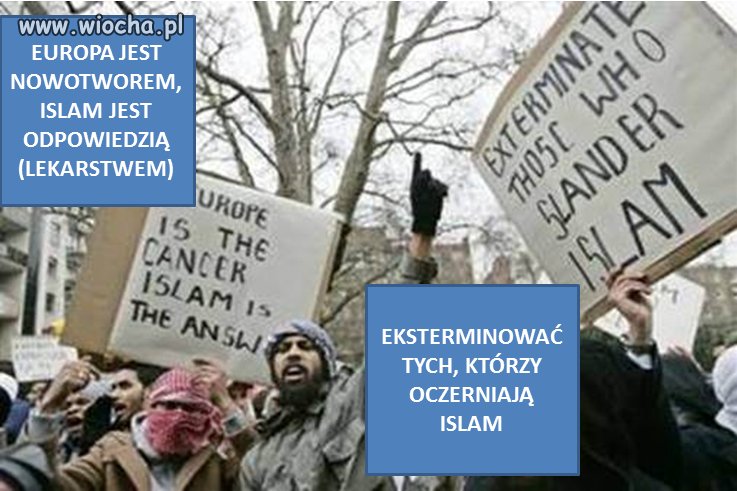 Pokazuj światu ich prawdziwe oblicze