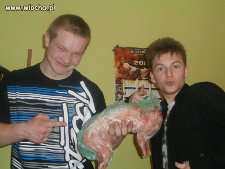 Króliczek