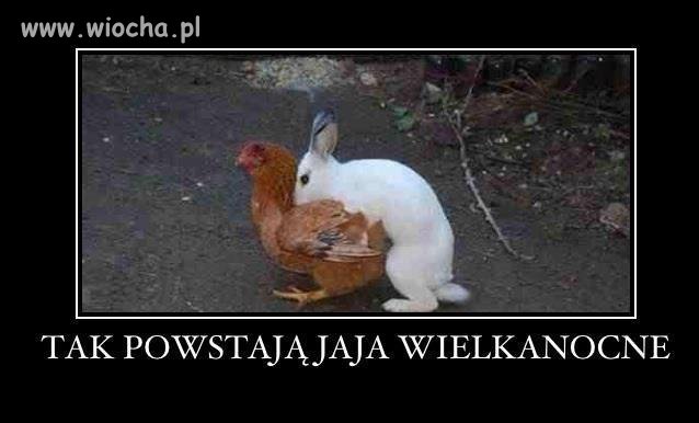 Bardzo proszę odpowiedź na pytanie...