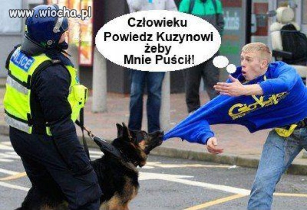 Nie ma to jak prawdziwa rodzinka