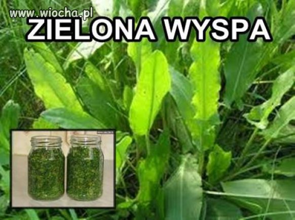 I mamy naszą zieloną wyspe