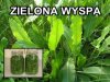 I mamy naszą zieloną wyspe