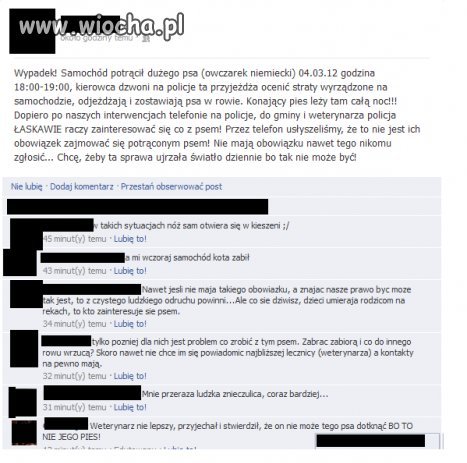 Wiocha dla policji i weterynarza!