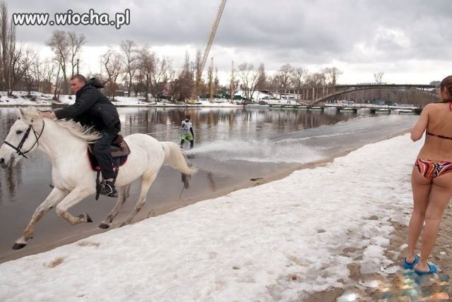 Pamiętniki z wakacji