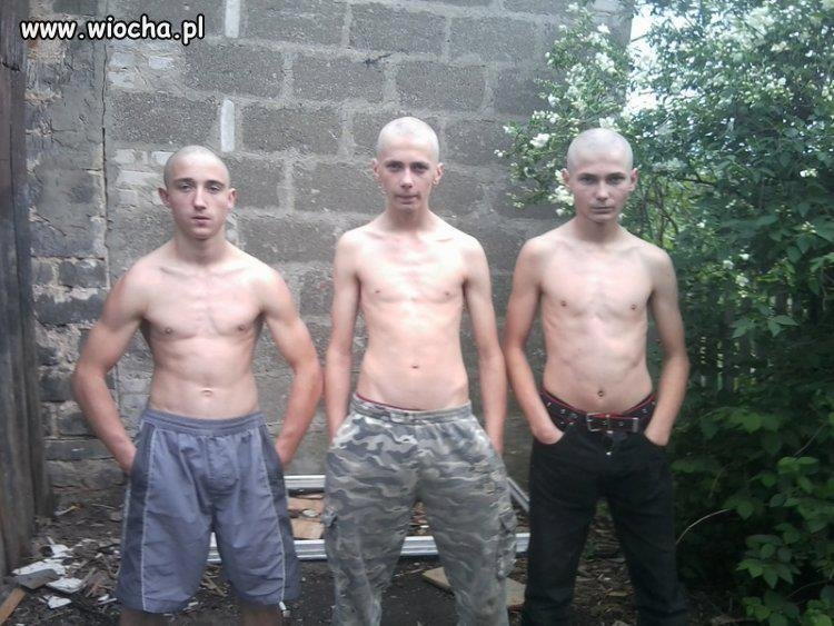 GANG DZIKICH WIEPRZY 