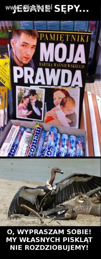 J...e sępy 