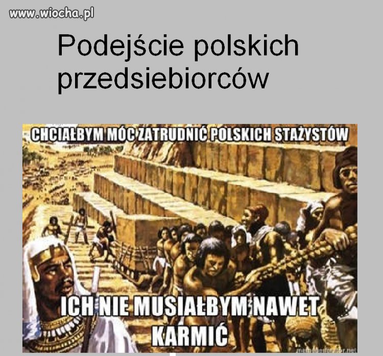 Cała prawda o polskich przedsiębiorcach
