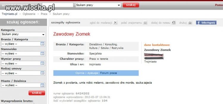 Zawodowy Ziomek