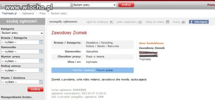 Zawodowy Ziomek