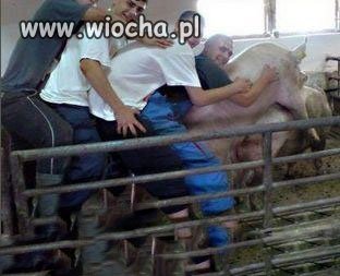 Wieś się bawi