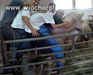 Wieś się bawi