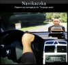 Navikaczka