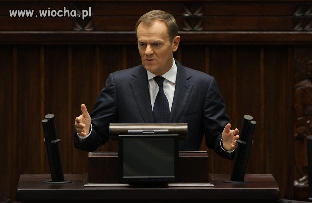 Nic nie ukradłem...