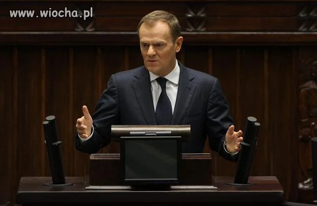 Nic nie ukradłem...