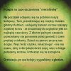 Dieta poselska