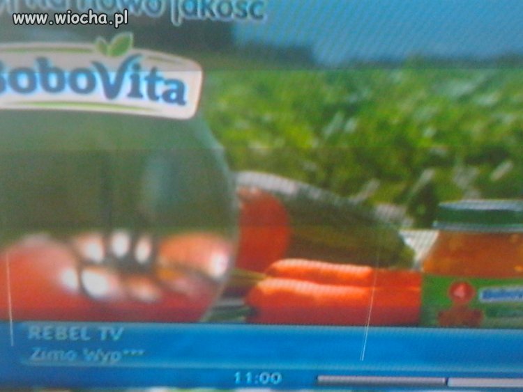Nawet Rebel TV ma już dość zimy.. 