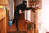 Atak Ninja!!!