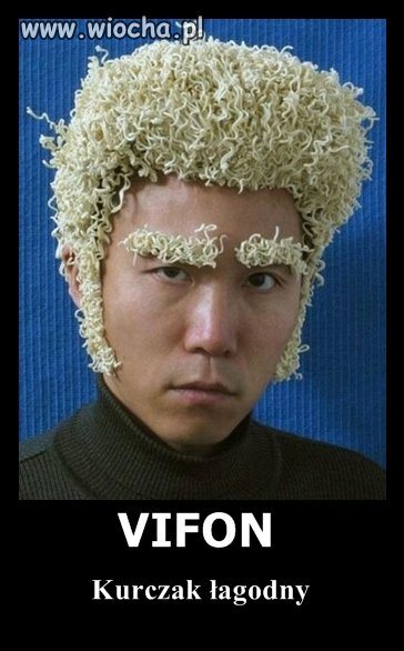 Vifon