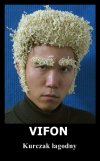 Vifon