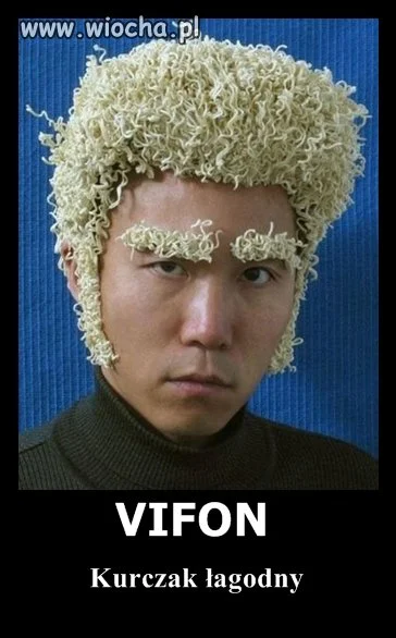 Vifon