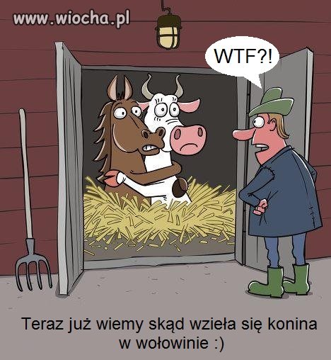 Zagadka rozwiązana...
