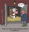Zagadka rozwiązana...
