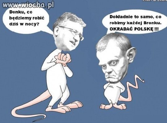 Pinky i Mózg ...