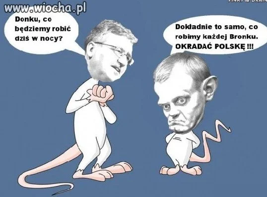 Pinky i Mózg ...