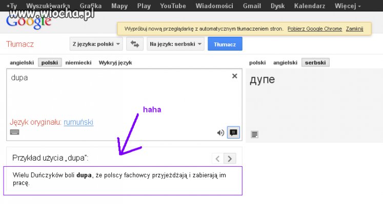 Tak tłumacz google jest świetny