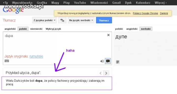 Tak tłumacz google jest świetny