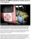 Katolicka działalność