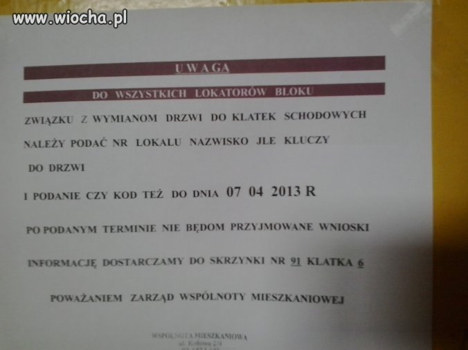 Polszczyzna 