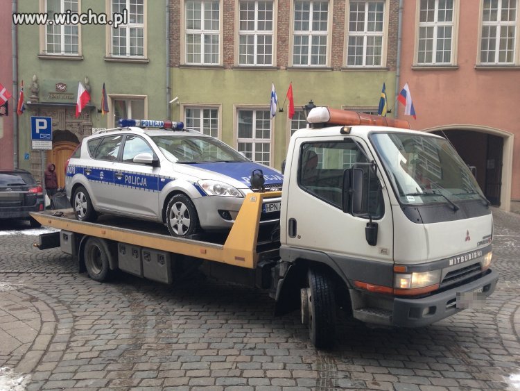 Woził WILK razy kilka