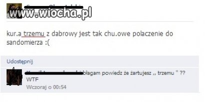POLONISTA