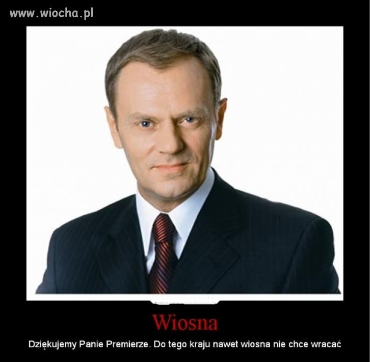 Z cyklu: to wina Tuska