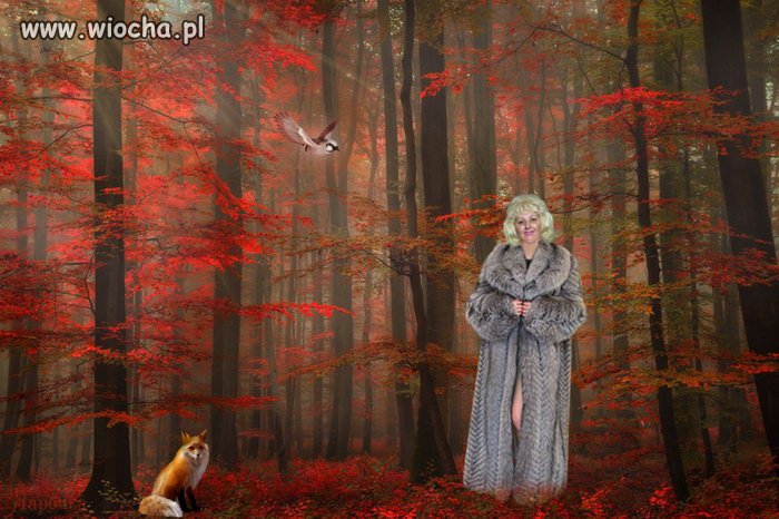 Mistrzyni photoshopa:  powrót